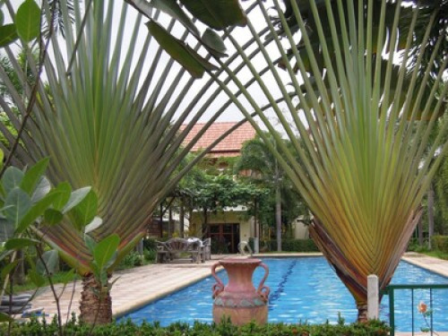 Beautiful escape in Siracha - Gallery - 7