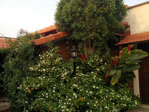 Spacious courtyard home  - Gallery - 15
