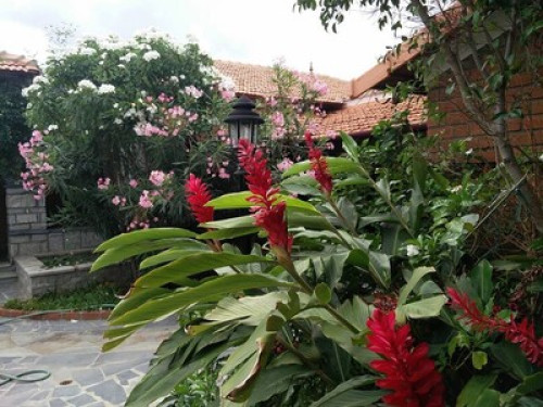 Spacious courtyard home  - Gallery - 19