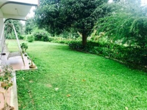 Pepper Vines Homestay - Gallery - 2