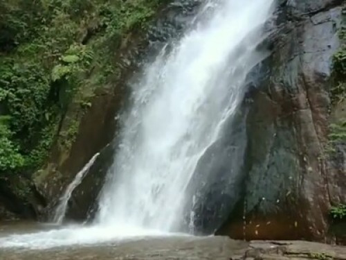 Malnad Blossom Homestay  - Gallery - 6