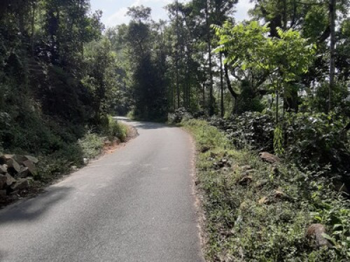 Malnad Blossom Homestay  - Gallery - 10