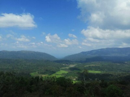 Malnad Blossom Homestay  - Gallery - 16