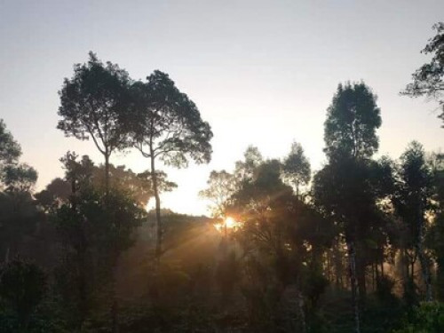 Malnad Blossom Homestay  - Gallery - 7