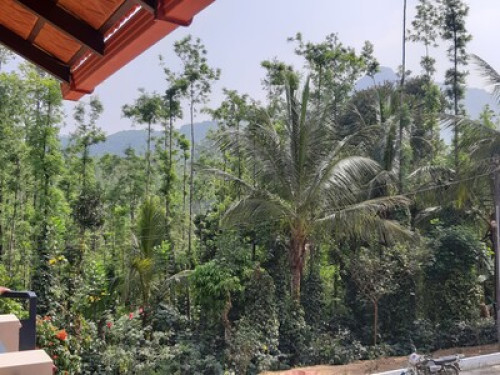 Malnad Blossom Homestay  - Gallery - 17