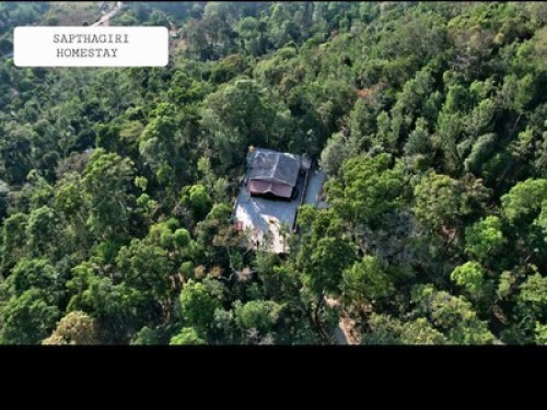 Homestay in the middle of the woods - Gallery - 2