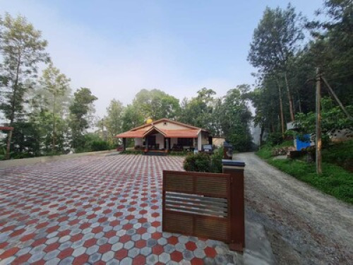 Homestay in the middle of the woods - Gallery - 13