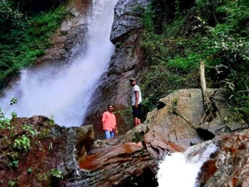 Homestay in the middle of the woods - Gallery - 7