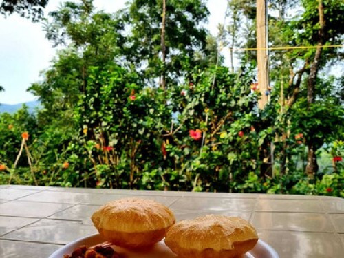 Homestay in the middle of the woods - Gallery - 5