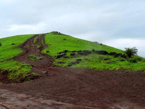 Farmstay in Kollur Mookambika  - Gallery - 8
