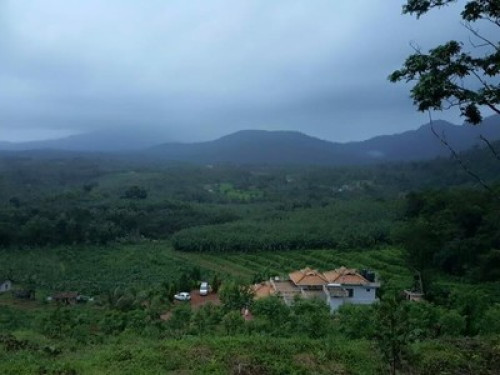 Farmstay in Kollur Mookambika  - Gallery - 31
