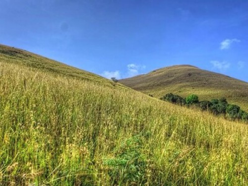 Farmstay in Kollur Mookambika  - Gallery - 9