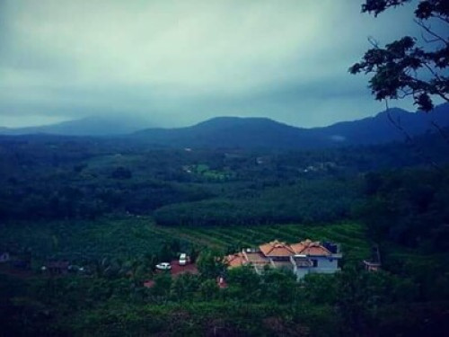 Farmstay in Kollur Mookambika  - Gallery - 17