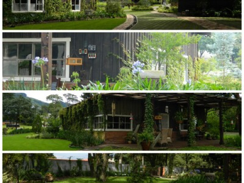 Passionate about nature / eco - Gallery - 6