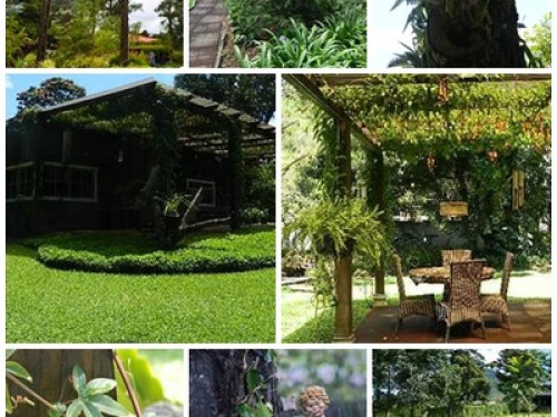 Passionate about nature / eco