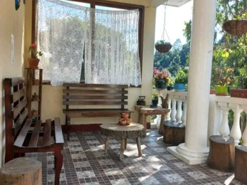 Rosenda's House - Gallery - 11