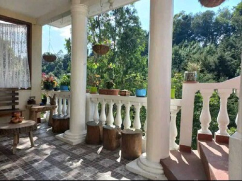 Rosenda's House - Gallery - 10