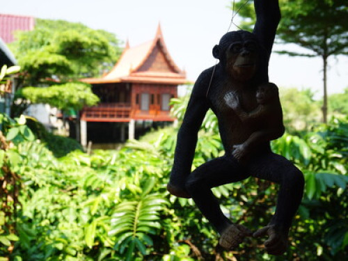 Experience theThai Life in Singburi - Gallery - 21