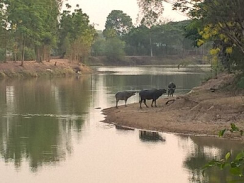 central in village in rural Isan - Gallery - 6