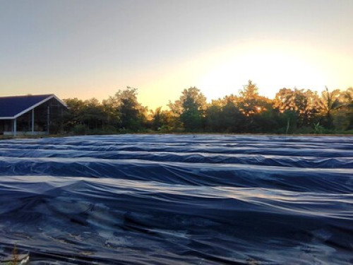 A Lazy Farm @BanTonJang Suphanburi - Gallery - 9