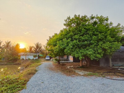 A Lazy Farm @BanTonJang Suphanburi - Gallery - 5