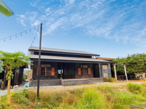 A Lazy Farm @BanTonJang Suphanburi - Gallery - 11