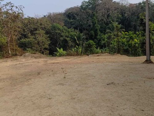 Chinchmakki Homestay - Gallery - 6
