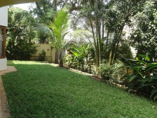 Entire Ground Floor with Garden - Gallery - 6