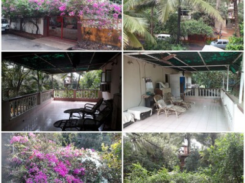 Live among abundant greenery  - Gallery - 3