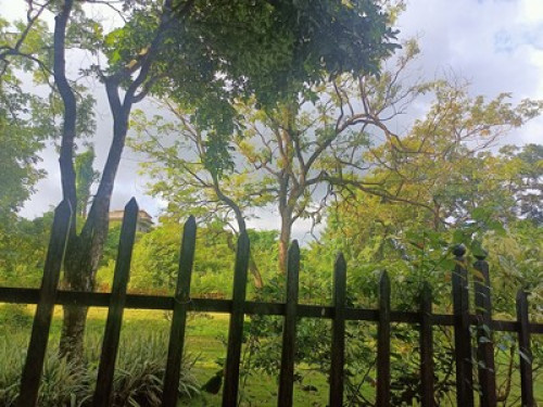 green homestay in Goa
