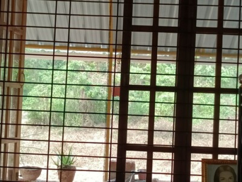 green homestay in Goa - Gallery - 7