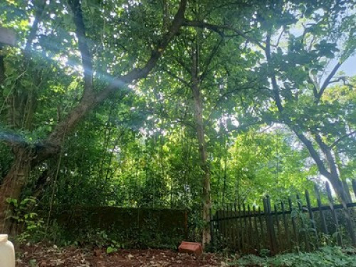 green homestay in Goa - Gallery - 5
