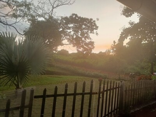 green homestay in Goa - Gallery - 4