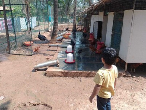 Goan Farmhouse Getaway - Gallery - 10