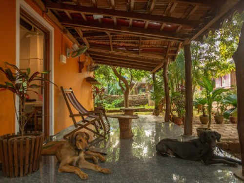 Goan Farmhouse Getaway - Gallery - 17