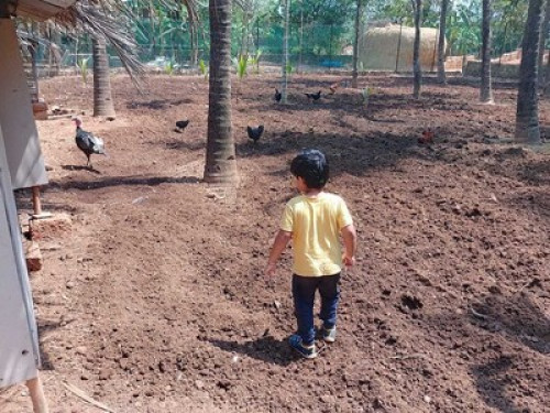 Goan Farmhouse Getaway - Gallery - 9