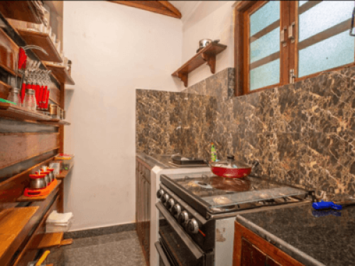 Goan Farmhouse Getaway - Gallery - 3