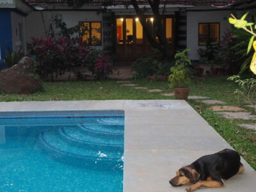 Luxury Heritage Homestay  - Gallery - 25