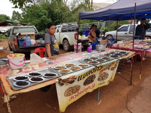 Enjoy North East Thailand (Isaan). - Gallery - 37