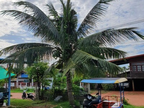Enjoy North East Thailand (Isaan). - Gallery - 9