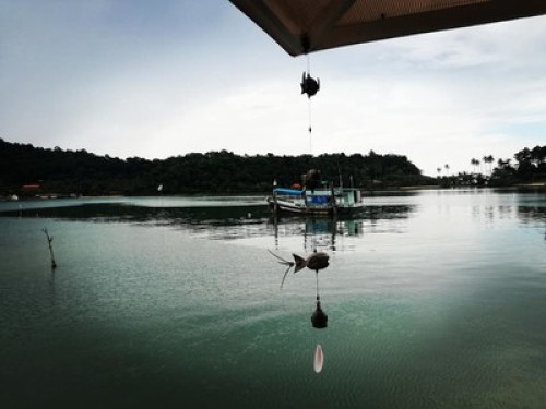 ฺฺBangbaoParadise HomeStay - Gallery - 14