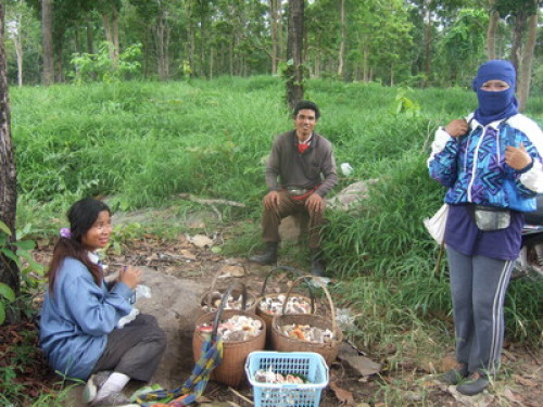 Real Undiscovered Thailand Village  - Gallery - 9