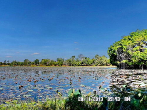 Winners Thailand Green Excellence  - Gallery - 11