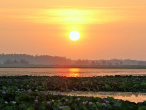 real thai homestay khon kaen - Gallery - 4