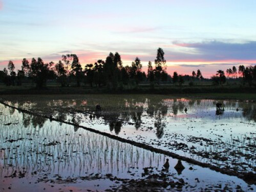 real thai homestay khon kaen - Gallery - 11