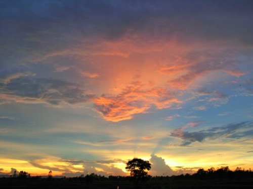 real thai homestay khon kaen - Gallery - 13