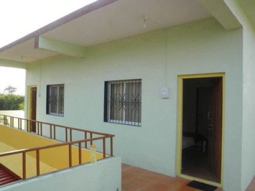 Amrai - Vaze Farms - Gallery - 13