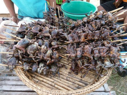Experience The 'Real' Thailand! - Gallery - 18