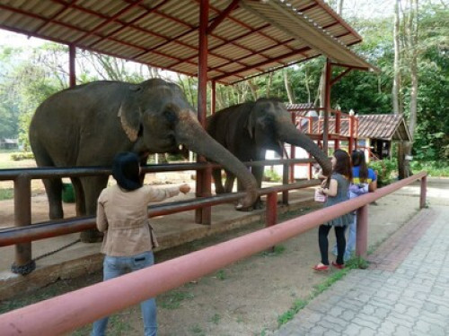 Experience The 'Real' Thailand! - Gallery - 88
