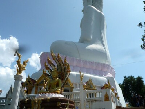 Experience The 'Real' Thailand! - Gallery - 28